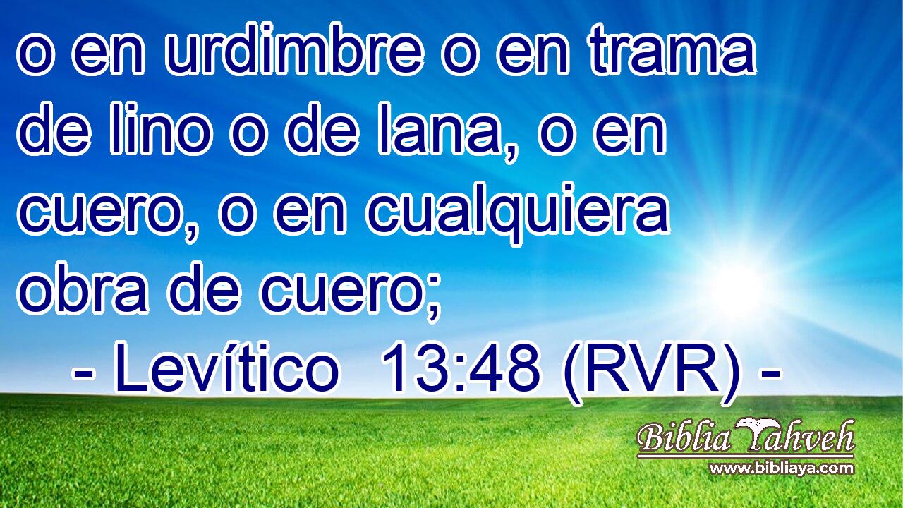 o en urdimbre o en trama de lino o de lana, o en cuero, o en cualquiera obra de cuero;