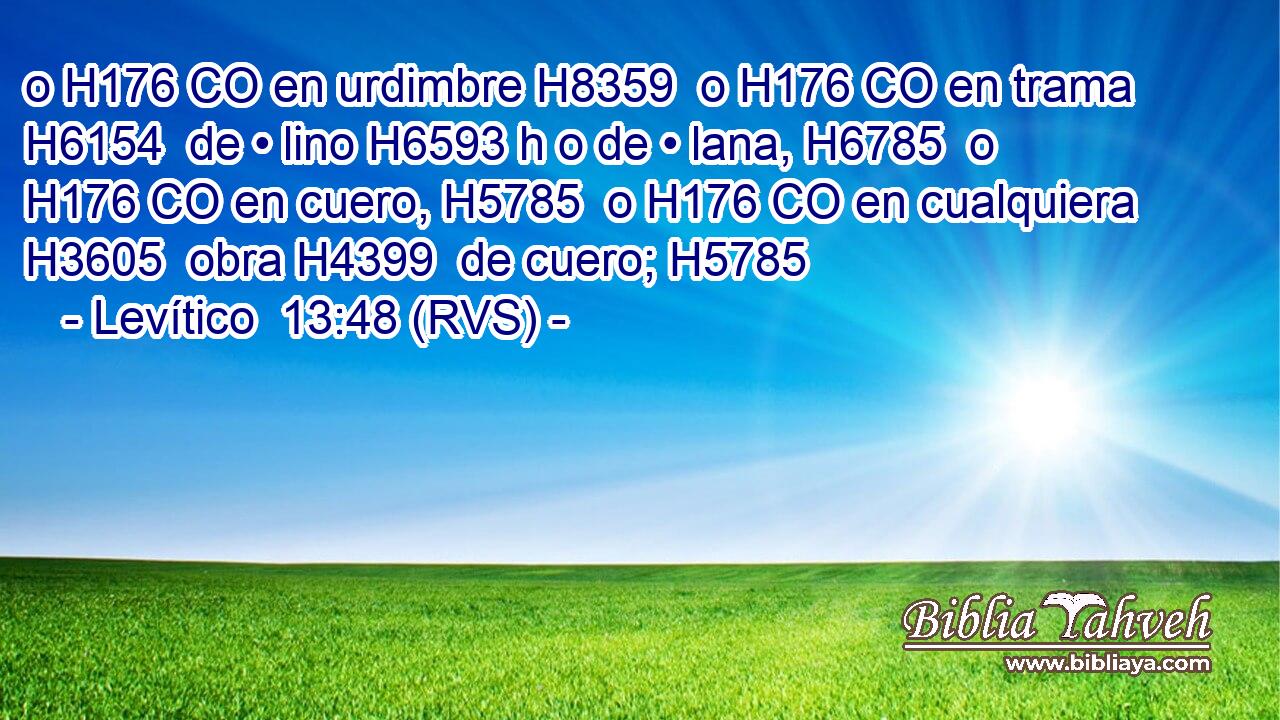 o H176 CO en urdimbre H8359  o H176 CO en trama H6154  de • lino H6593 h o de • lana, H6785  o H176 CO en cuero, H5785  o H176 CO en cualquiera H3605  obra H4399  de cuero; H5785  