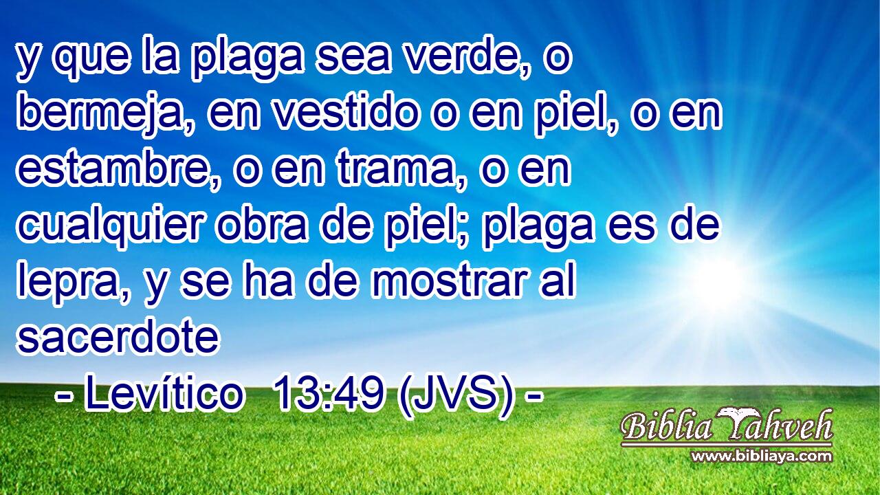 y que la plaga sea verde, o bermeja, en vestido o en piel, o en estambre, o en trama, o en cualquier obra de piel; plaga es de lepra, y se ha de mostrar al sacerdote