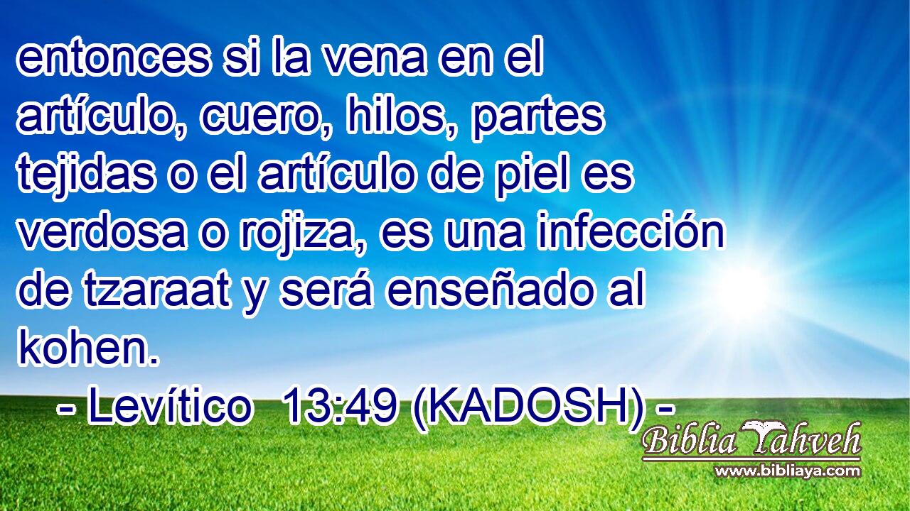  entonces si la vena en el artículo, cuero, hilos, partes tejidas o el artículo de piel es verdosa o rojiza, es una infección de tzaraat y será enseñado al kohen. 