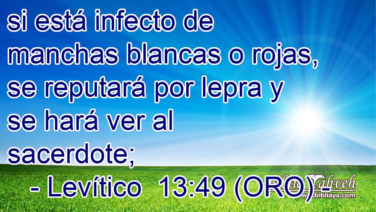  si está infecto de manchas blancas o rojas, se reputará por lepra y se hará ver al sacerdote; 
