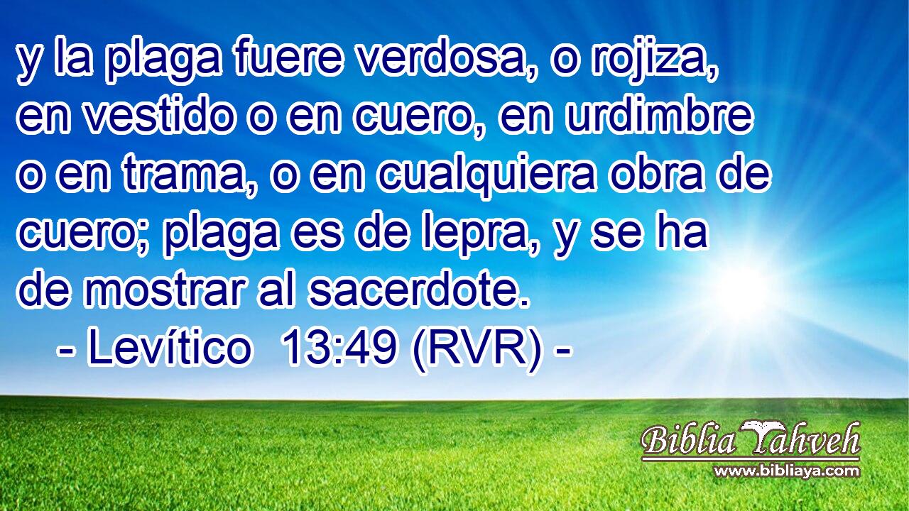 y la plaga fuere verdosa, o rojiza, en vestido o en cuero, en urdimbre o en trama, o en cualquiera obra de cuero; plaga es de lepra, y se ha de mostrar al sacerdote.