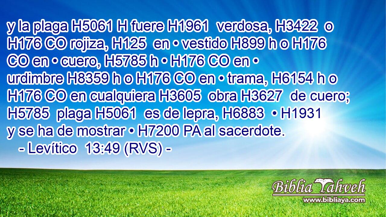 y la plaga H5061 H fuere H1961  verdosa, H3422  o H176 CO rojiza, H125  en • vestido H899 h o H176 CO en • cuero, H5785 h • H176 CO en • urdimbre H8359 h o H176 CO en • trama, H6154 h o H176 CO en cualquiera H3605  obra H3627  de cuero; H5785  plaga H5061  es de lepra, H6883  • H1931  y se ha de mostrar • H7200 PA al sacerdote. 