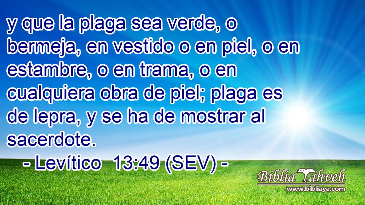 y que la plaga sea verde, o bermeja, en vestido o en piel, o en estambre, o en trama, o en cualquiera obra de piel; plaga es de lepra, y se ha de mostrar al sacerdote.