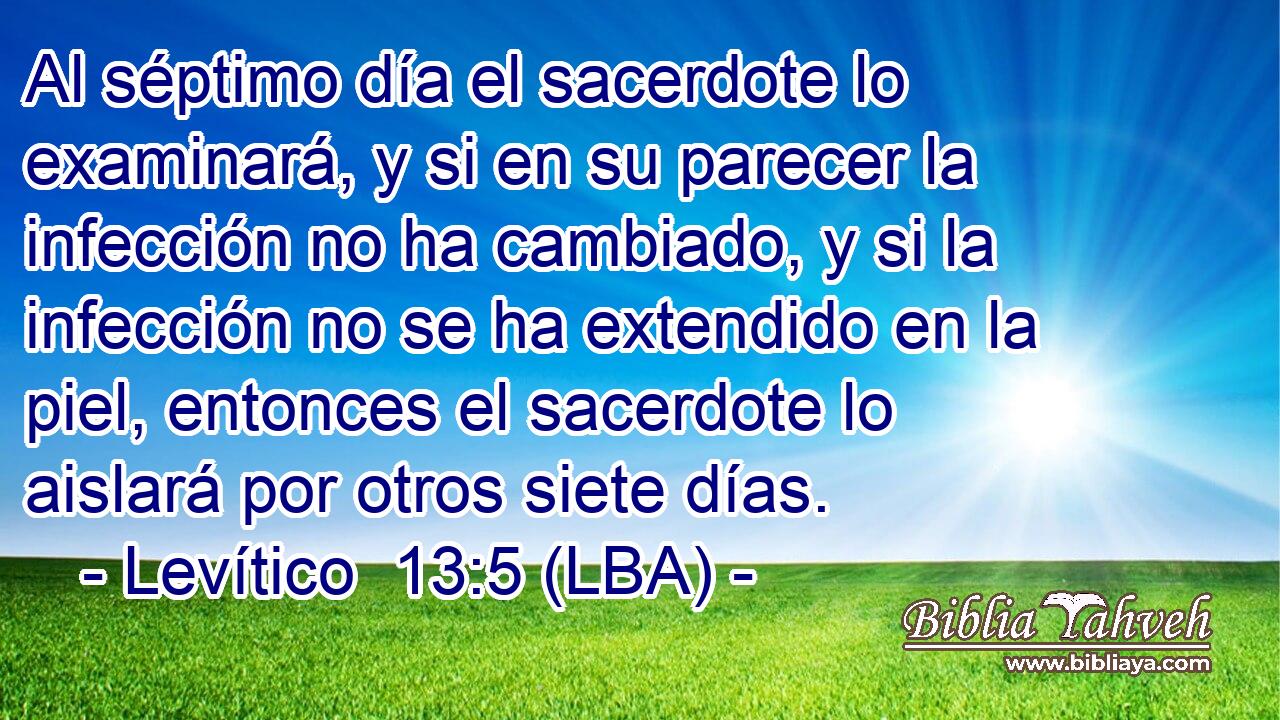 Al séptimo día el sacerdote lo examinará, y si en su parecer la infección no ha cambiado, y si la infección no se ha extendido en la piel, entonces el sacerdote lo aislará por otros siete días.