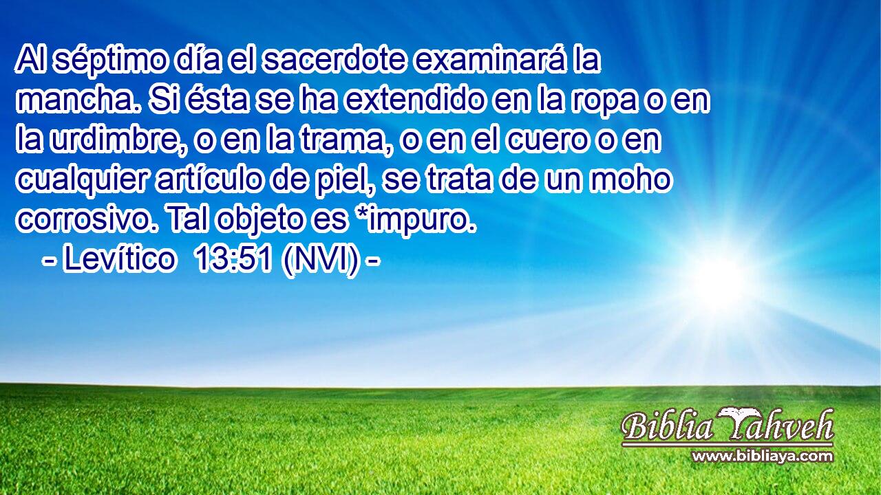  Al séptimo día el sacerdote examinará la mancha. Si ésta se ha extendido en la ropa o en la urdimbre, o en la trama, o en el cuero o en cualquier artículo de piel, se trata de un moho corrosivo. Tal objeto es *impuro. 