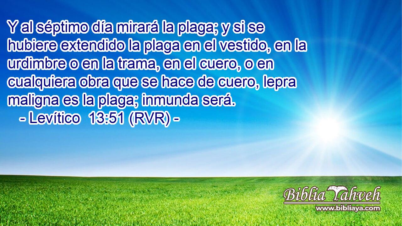Y al séptimo día mirará la plaga; y si se hubiere extendido la plaga en el vestido, en la urdimbre o en la trama, en el cuero, o en cualquiera obra que se hace de cuero, lepra maligna es la plaga; inmunda será.