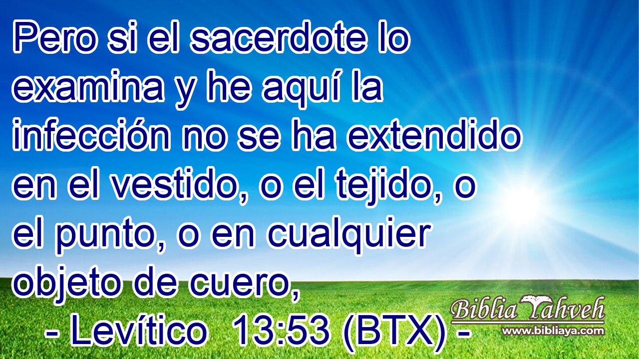 Pero si el sacerdote lo examina y he aquí la infección no se ha extendido en el vestido, o el tejido, o el punto, o en cualquier objeto de cuero,