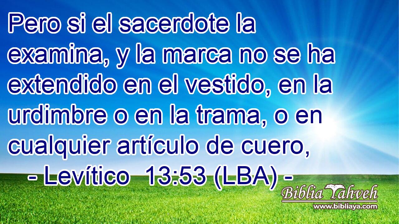 Pero si el sacerdote la examina, y la marca no se ha extendido en el vestido, en la urdimbre o en la trama, o en cualquier artículo de cuero,