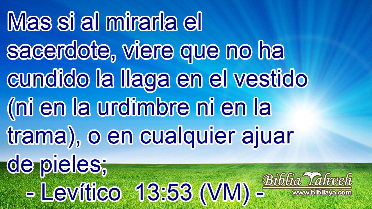  Mas si al mirarla el sacerdote, viere que no ha cundido la llaga en el vestido (ni en la urdimbre ni en la trama), o en cualquier ajuar de pieles; 