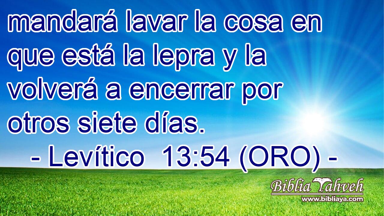  mandará lavar la cosa en que está la lepra y la volverá a encerrar por otros siete días. 