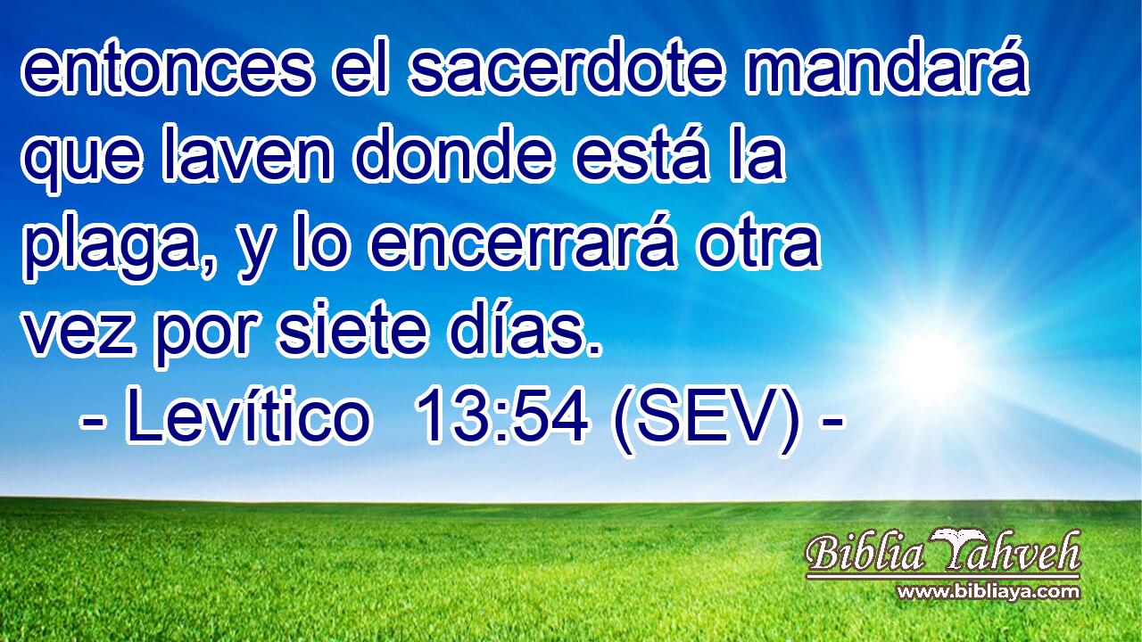 entonces el sacerdote mandará que laven donde está la plaga, y lo encerrará otra vez por siete días.