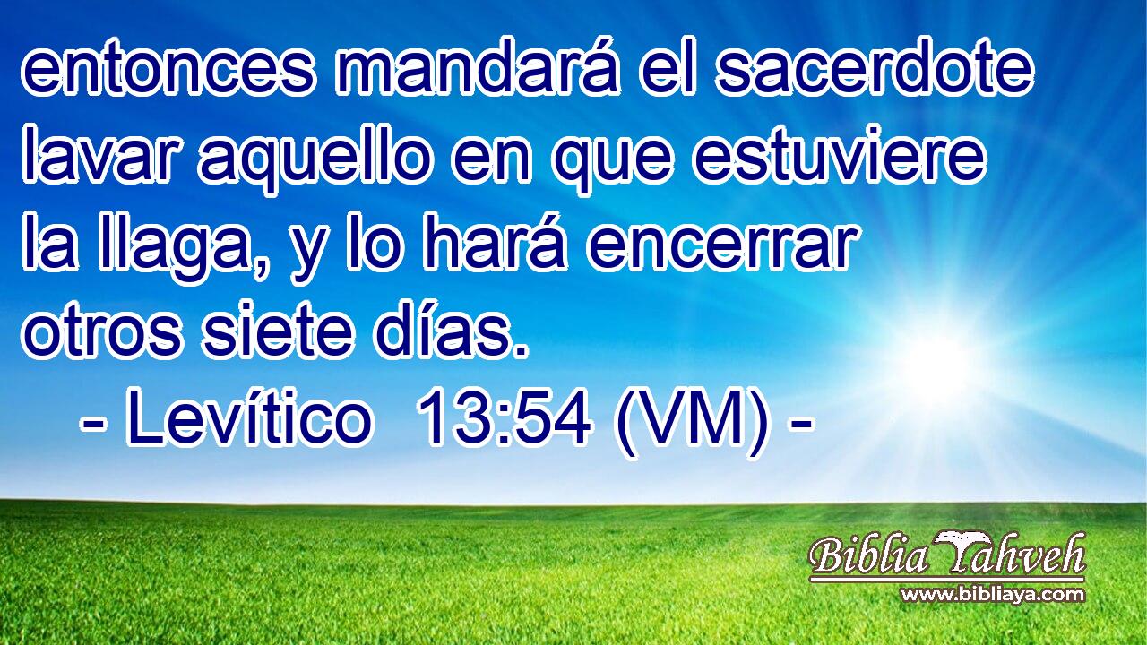  entonces mandará el sacerdote lavar aquello en que estuviere la llaga, y lo hará encerrar otros siete días. 