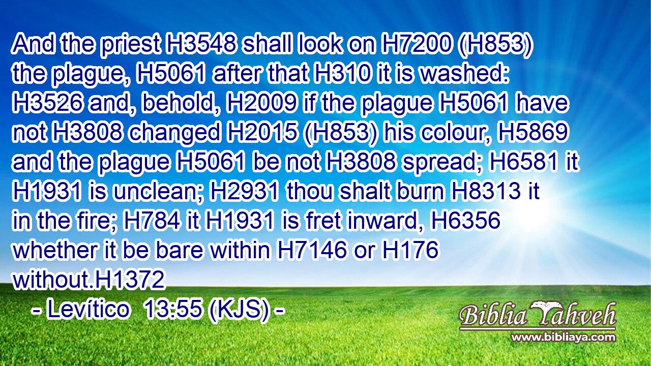And the priest H3548 shall look on H7200 (H853) the plague, H5061 after that H310 it is washed: H3526 and, behold, H2009 if the plague H5061 have not H3808 changed H2015 (H853) his colour, H5869 and the plague H5061 be not H3808 spread; H6581 it H1931 is unclean; H2931 thou shalt burn H8313 it in the fire; H784 it H1931 is fret inward, H6356 whether it be bare within H7146 or H176 without.H1372
