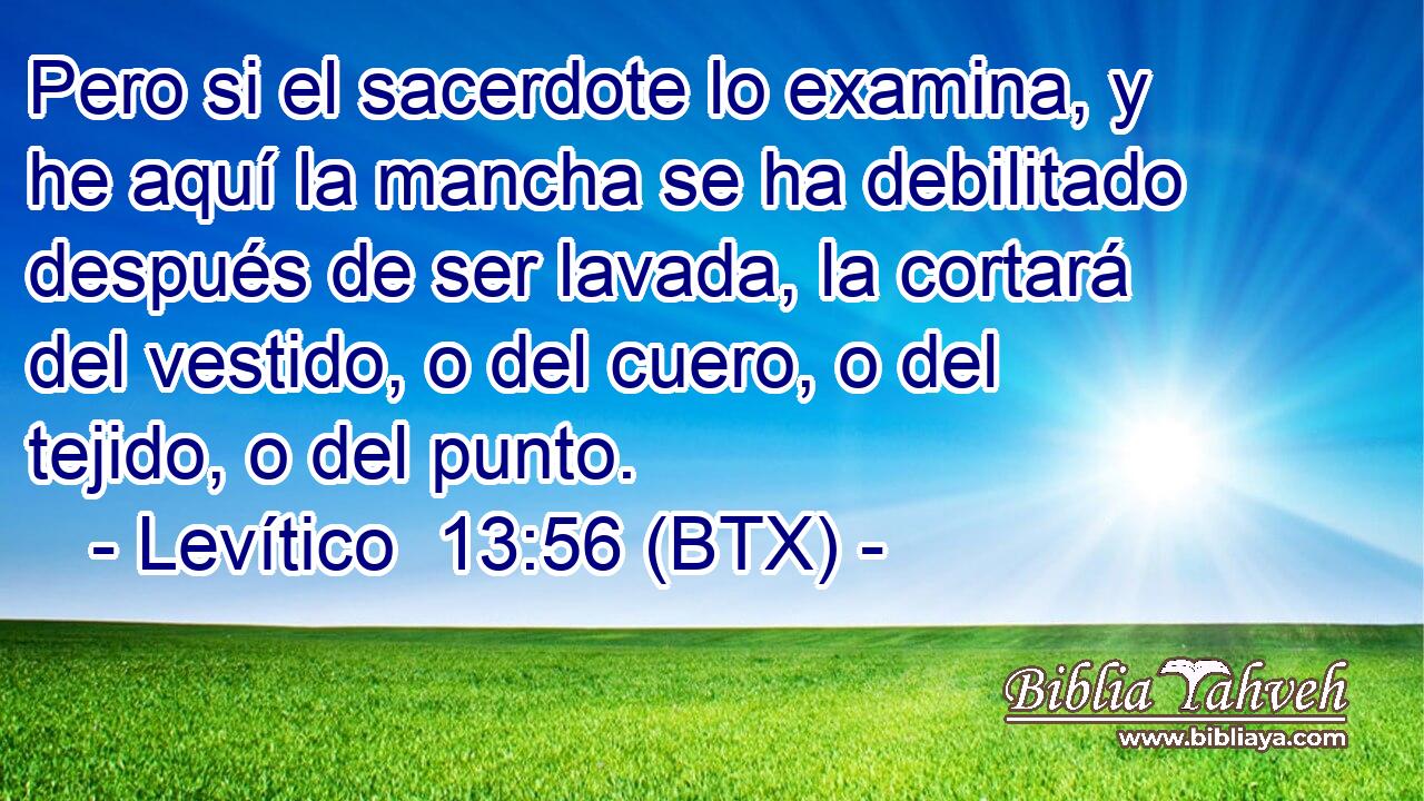 Pero si el sacerdote lo examina, y he aquí la mancha se ha debilitado después de ser lavada, la cortará del vestido, o del cuero, o del tejido, o del punto.