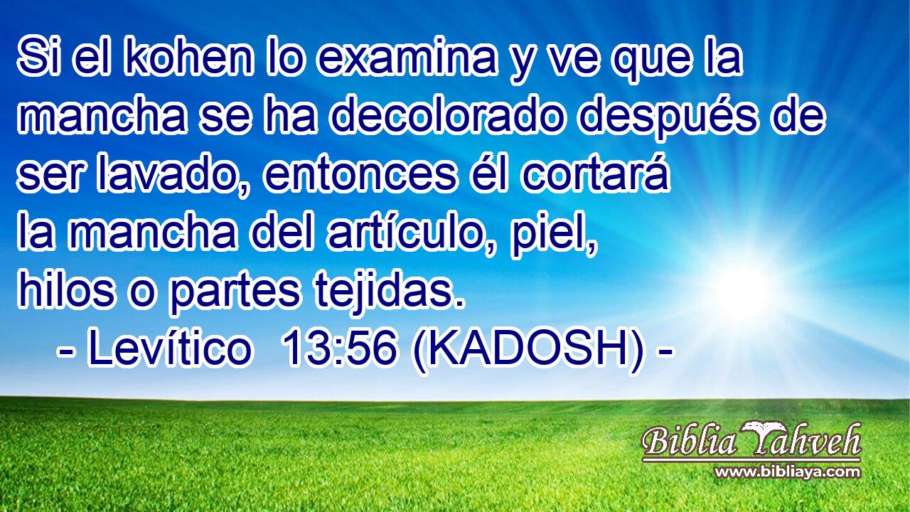  Si el kohen lo examina y ve que la mancha se ha decolorado después de ser lavado, entonces él cortará la mancha del artículo, piel, hilos o partes tejidas. 
