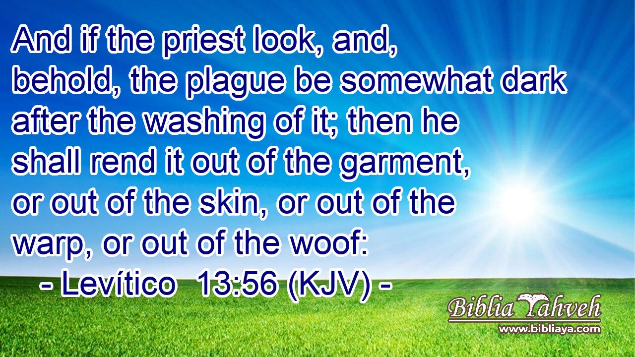 And if the priest look, and, behold, the plague be somewhat dark after the washing of it; then he shall rend it out of the garment, or out of the skin, or out of the warp, or out of the woof: