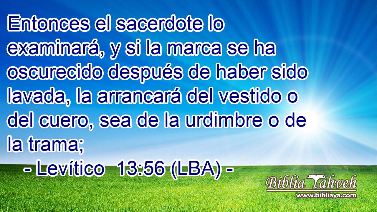 Entonces el sacerdote lo examinará, y si la marca se ha oscurecido después de haber sido lavada, la arrancará del vestido o del cuero, sea de la urdimbre o de la trama;