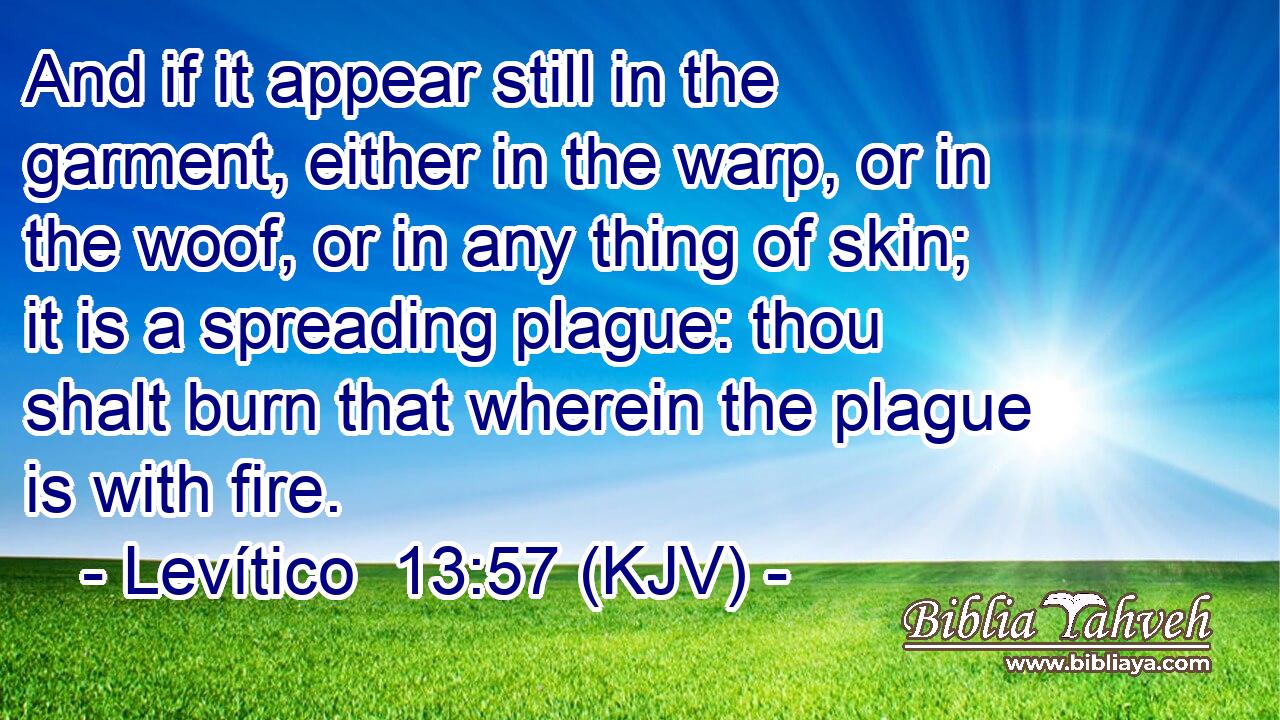 And if it appear still in the garment, either in the warp, or in the woof, or in any thing of skin; it is a spreading plague: thou shalt burn that wherein the plague is with fire.