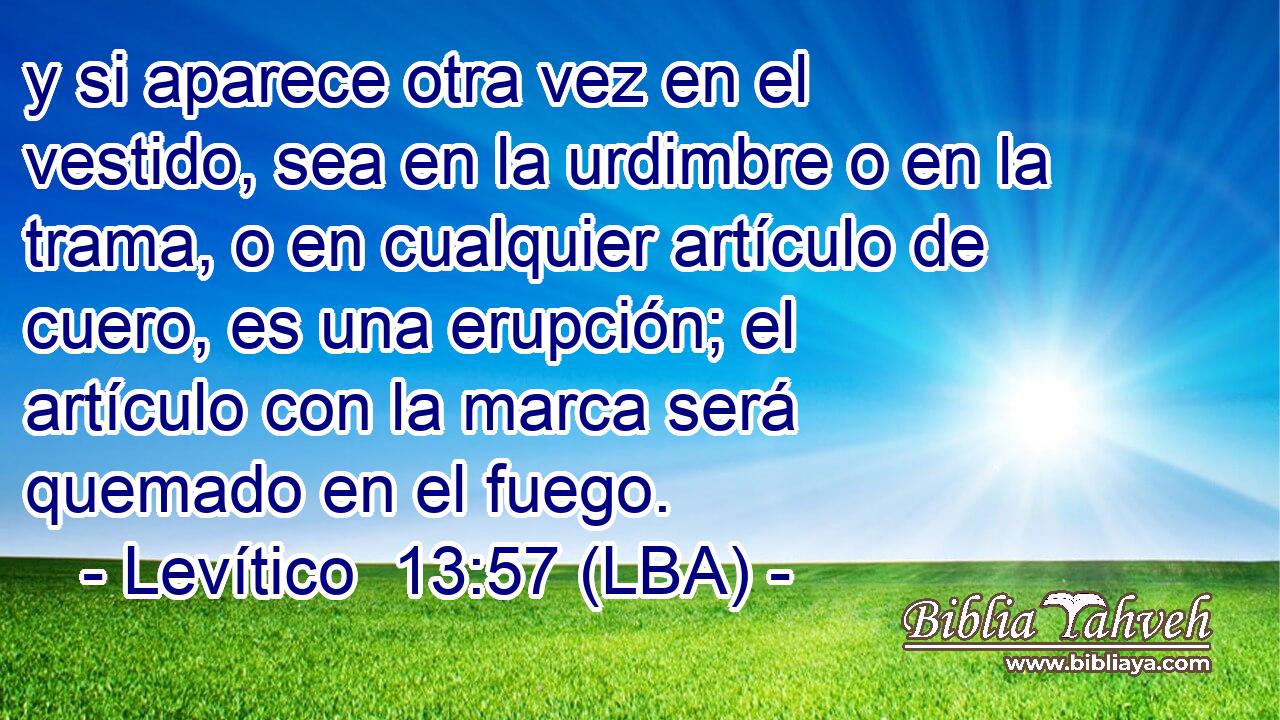 y si aparece otra vez en el vestido, sea en la urdimbre o en la trama, o en cualquier artículo de cuero, es una erupción; el artículo con la marca será quemado en el fuego.
