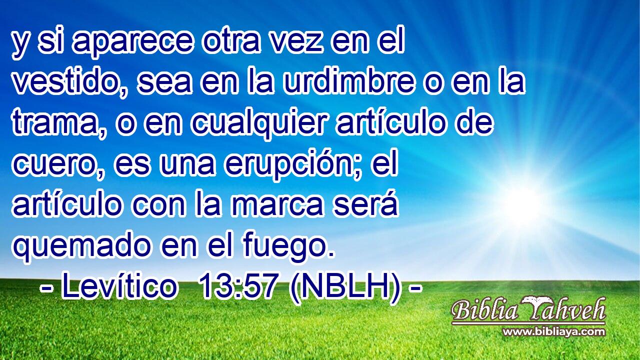 y si aparece otra vez en el vestido, sea en la urdimbre o en la trama, o en cualquier artículo de cuero, es una erupción; el artículo con la marca será quemado en el fuego. 