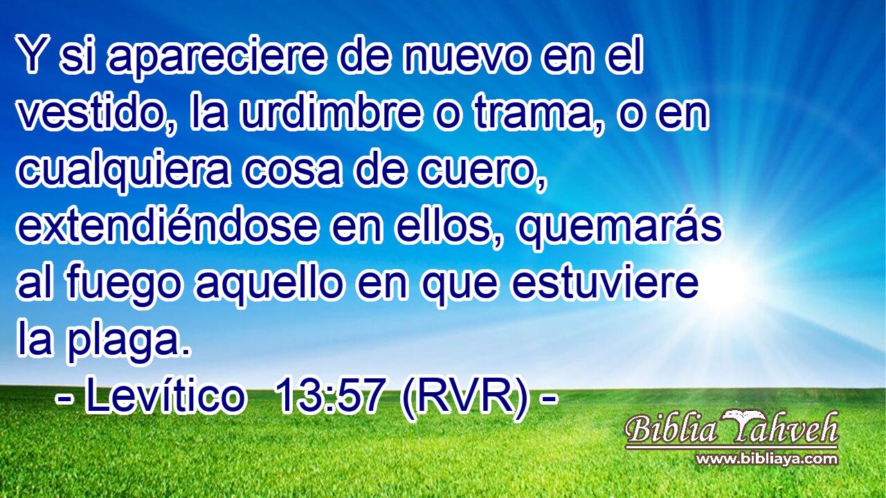 Y si apareciere de nuevo en el vestido, la urdimbre o trama, o en cualquiera cosa de cuero, extendiéndose en ellos, quemarás al fuego aquello en que estuviere la plaga.