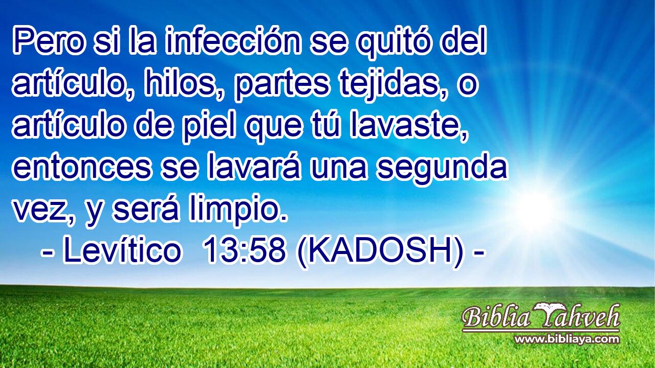  Pero si la infección se quitó del artículo, hilos, partes tejidas, o artículo de piel que tú lavaste, entonces se lavará una segunda vez, y será limpio. 