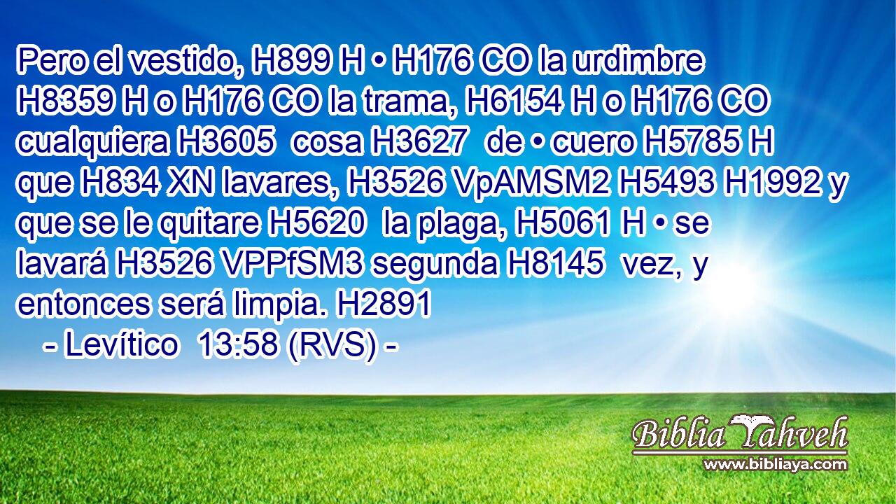 Pero el vestido, H899 H • H176 CO la urdimbre H8359 H o H176 CO la trama, H6154 H o H176 CO cualquiera H3605  cosa H3627  de • cuero H5785 H que H834 XN lavares, H3526 VpAMSM2 H5493 H1992 y que se le quitare H5620  la plaga, H5061 H • se lavará H3526 VPPfSM3 segunda H8145  vez, y entonces será limpia. H2891  