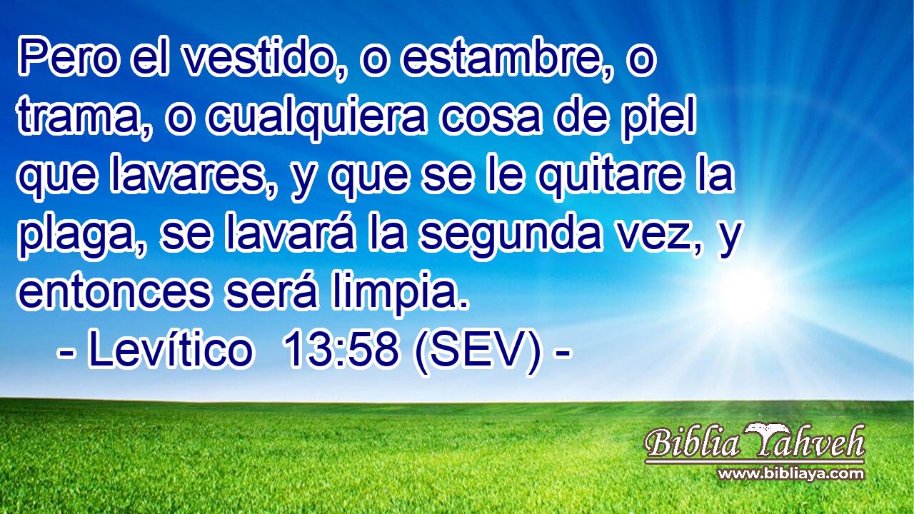 Pero el vestido, o estambre, o trama, o cualquiera cosa de piel que lavares, y que se le quitare la plaga, se lavará la segunda vez, y entonces será limpia.
