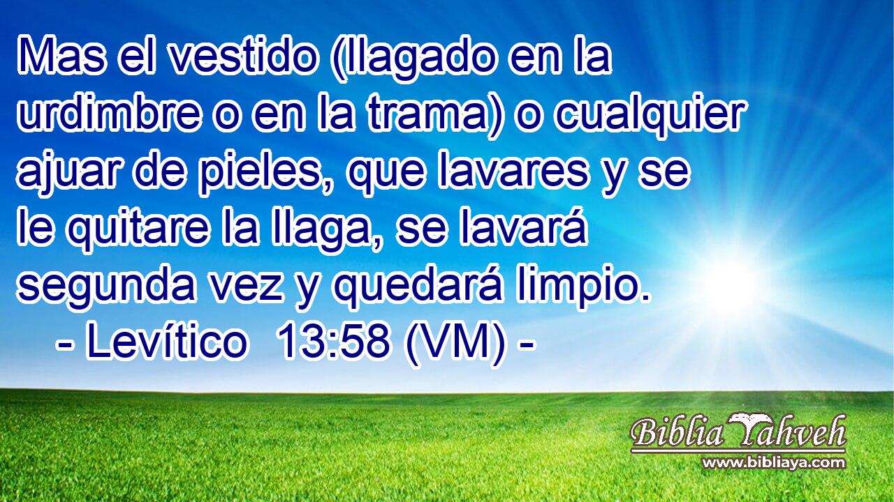  Mas el vestido (llagado en la urdimbre o en la trama) o cualquier ajuar de pieles, que lavares y se le quitare la llaga, se lavará segunda vez y quedará limpio. 