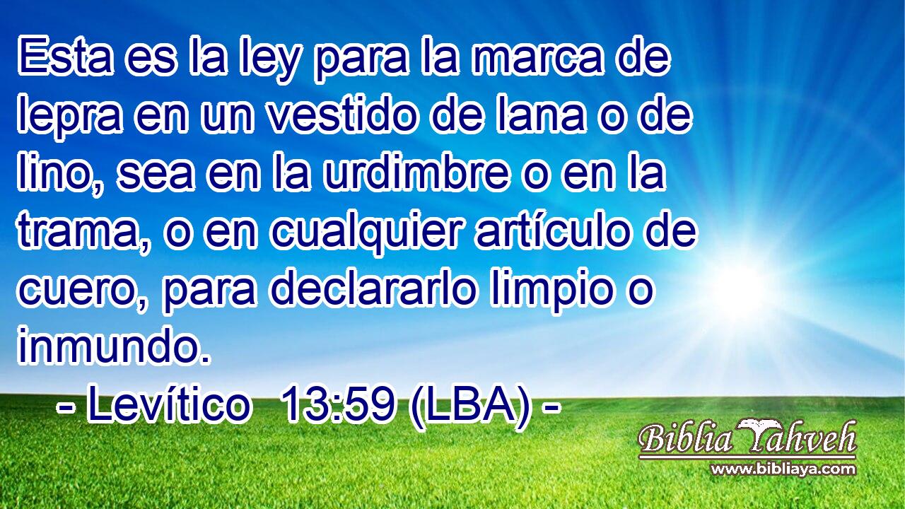 Esta es la ley para la marca de lepra en un vestido de lana o de lino, sea en la urdimbre o en la trama, o en cualquier artículo de cuero, para declararlo limpio o inmundo.