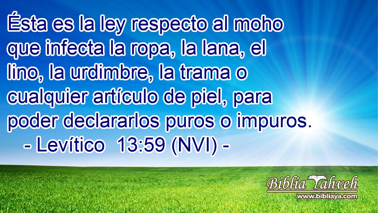  Ésta es la ley respecto al moho que infecta la ropa, la lana, el lino, la urdimbre, la trama o cualquier artículo de piel, para poder declararlos puros o impuros. 