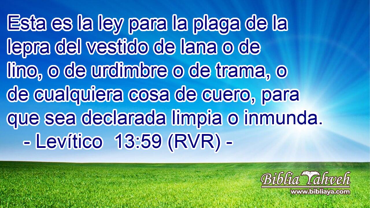 Esta es la ley para la plaga de la lepra del vestido de lana o de lino, o de urdimbre o de trama, o de cualquiera cosa de cuero, para que sea declarada limpia o inmunda.
