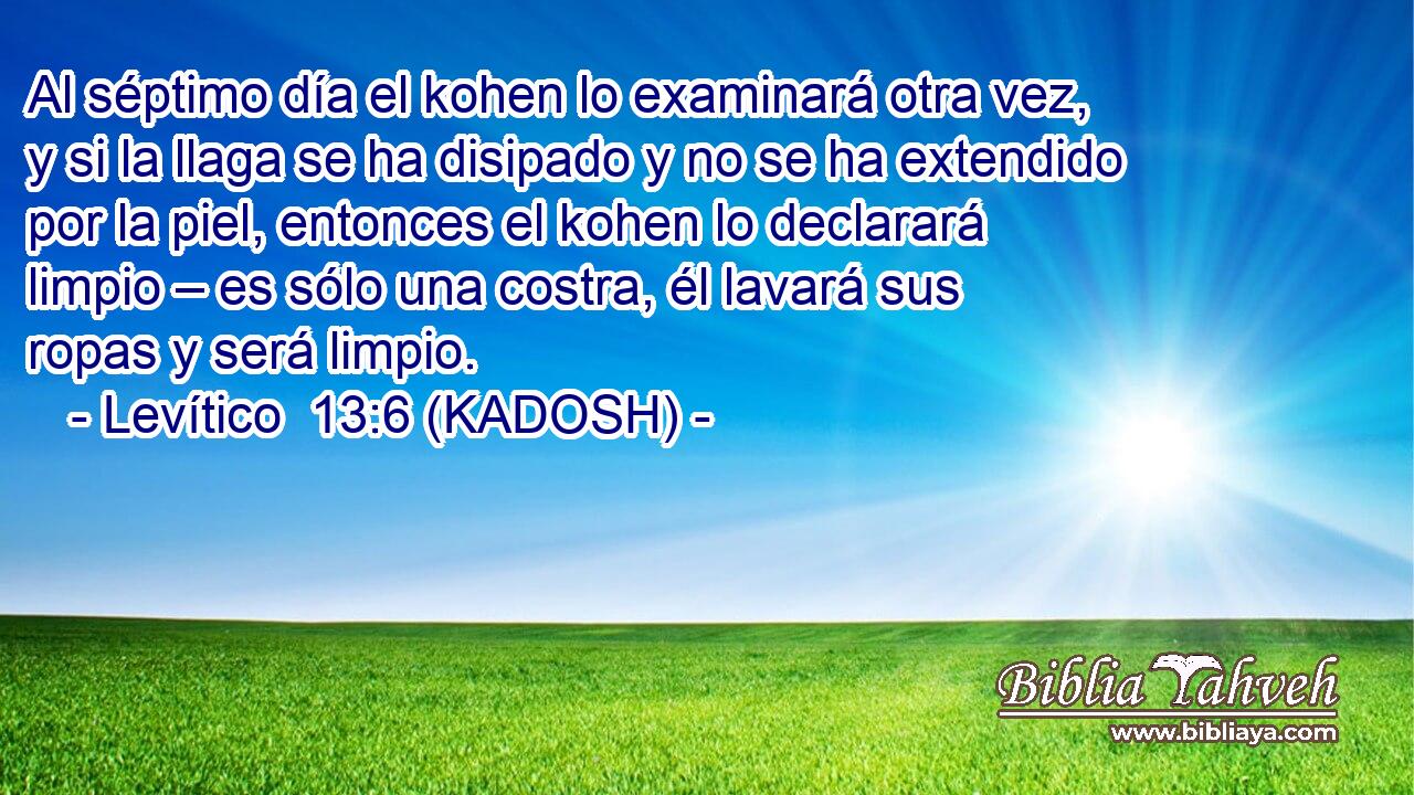  Al séptimo día el kohen lo examinará otra vez, y si la llaga se ha disipado y no se ha extendido por la piel, entonces el kohen lo declarará limpio – es sólo una costra, él lavará sus ropas y será limpio. 