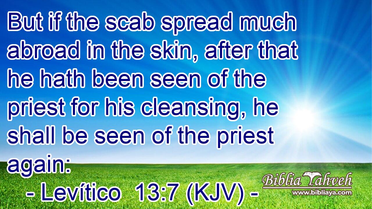 But if the scab spread much abroad in the skin, after that he hath been seen of the priest for his cleansing, he shall be seen of the priest again: