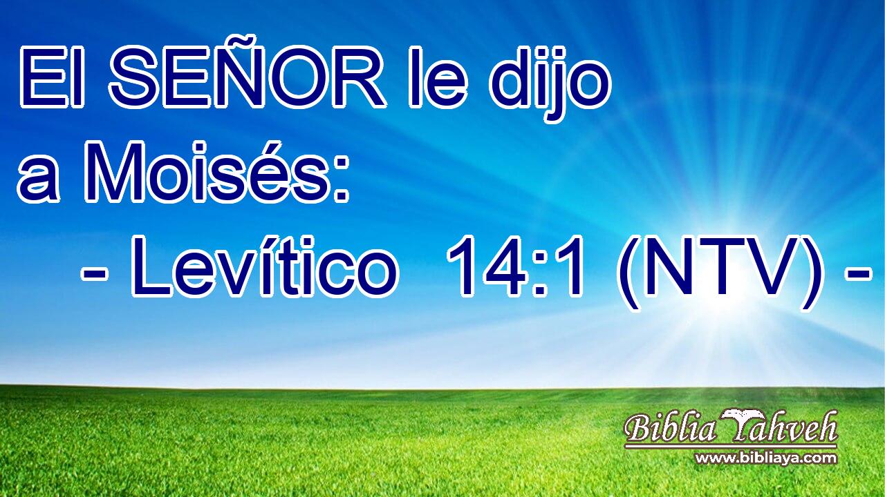 El SEÑOR le dijo a Moisés:
