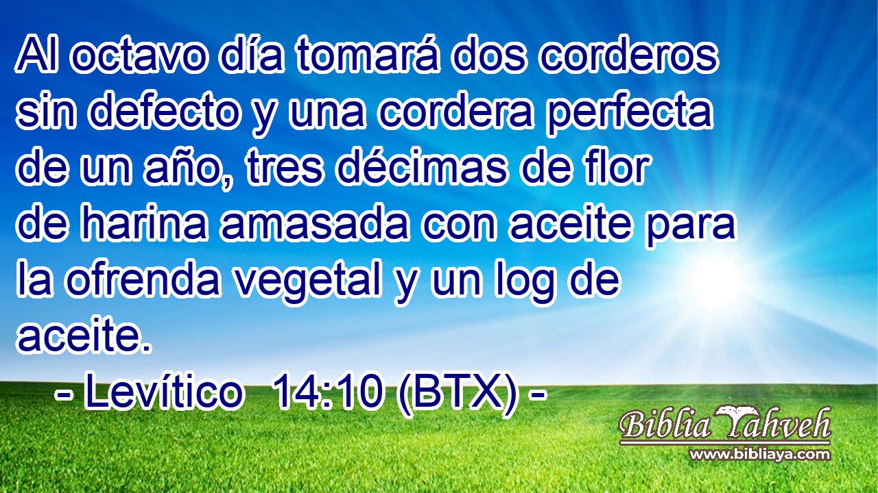 Al octavo día tomará dos corderos sin defecto y una cordera perfecta de un año, tres décimas de flor de harina amasada con aceite para la ofrenda vegetal y un log de aceite.