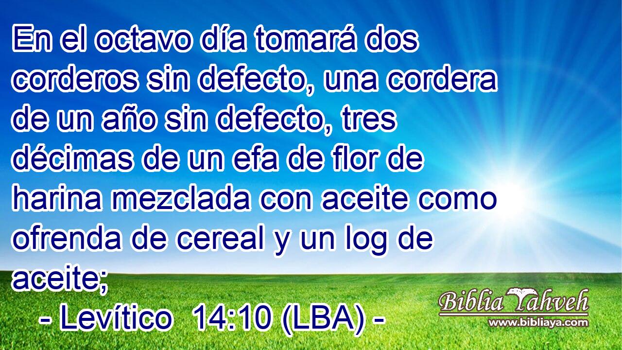 En el octavo día tomará dos corderos sin defecto, una cordera de un año sin defecto, tres décimas de un efa de flor de harina mezclada con aceite como ofrenda de cereal y un log de aceite;