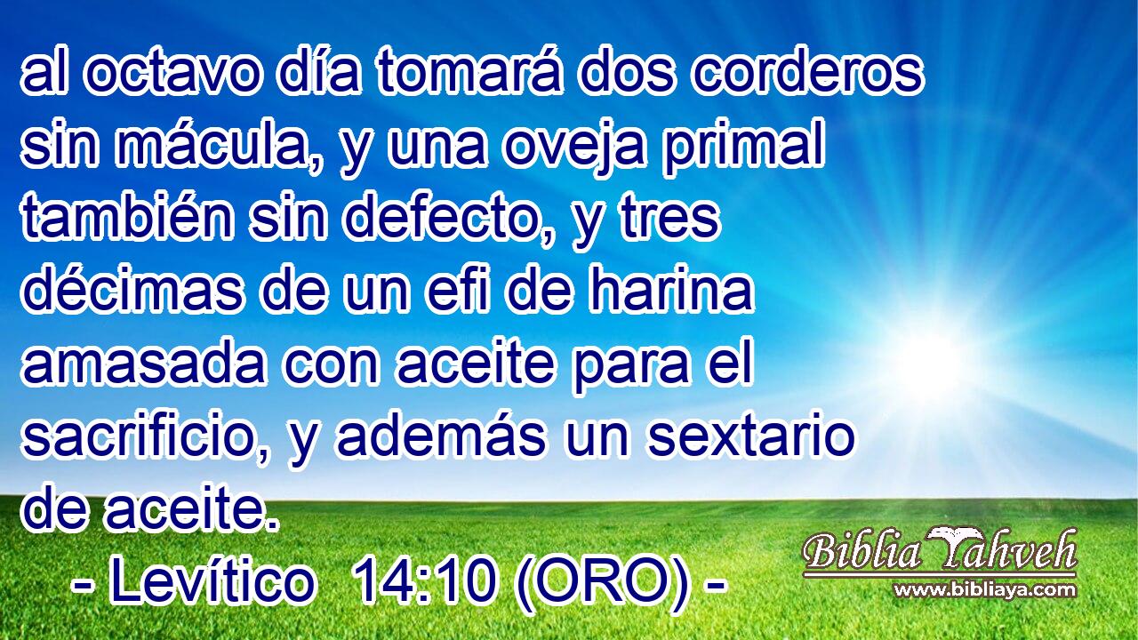  al octavo día tomará dos corderos sin mácula, y una oveja primal también sin defecto, y tres décimas de un efi de harina amasada con aceite para el sacrificio, y además un sextario de aceite. 