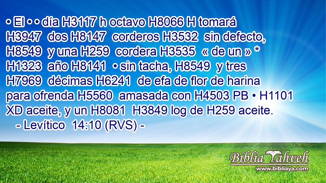 • El • • día H3117 h octavo H8066 H tomará H3947  dos H8147  corderos H3532  sin defecto, H8549  y una H259  cordera H3535  « de un » * H1323  año H8141  • sin tacha, H8549  y tres H7969  décimas H6241  de efa de flor de harina para ofrenda H5560  amasada con H4503 PB • H1101 XD aceite, y un H8081  H3849 log de H259 aceite. 