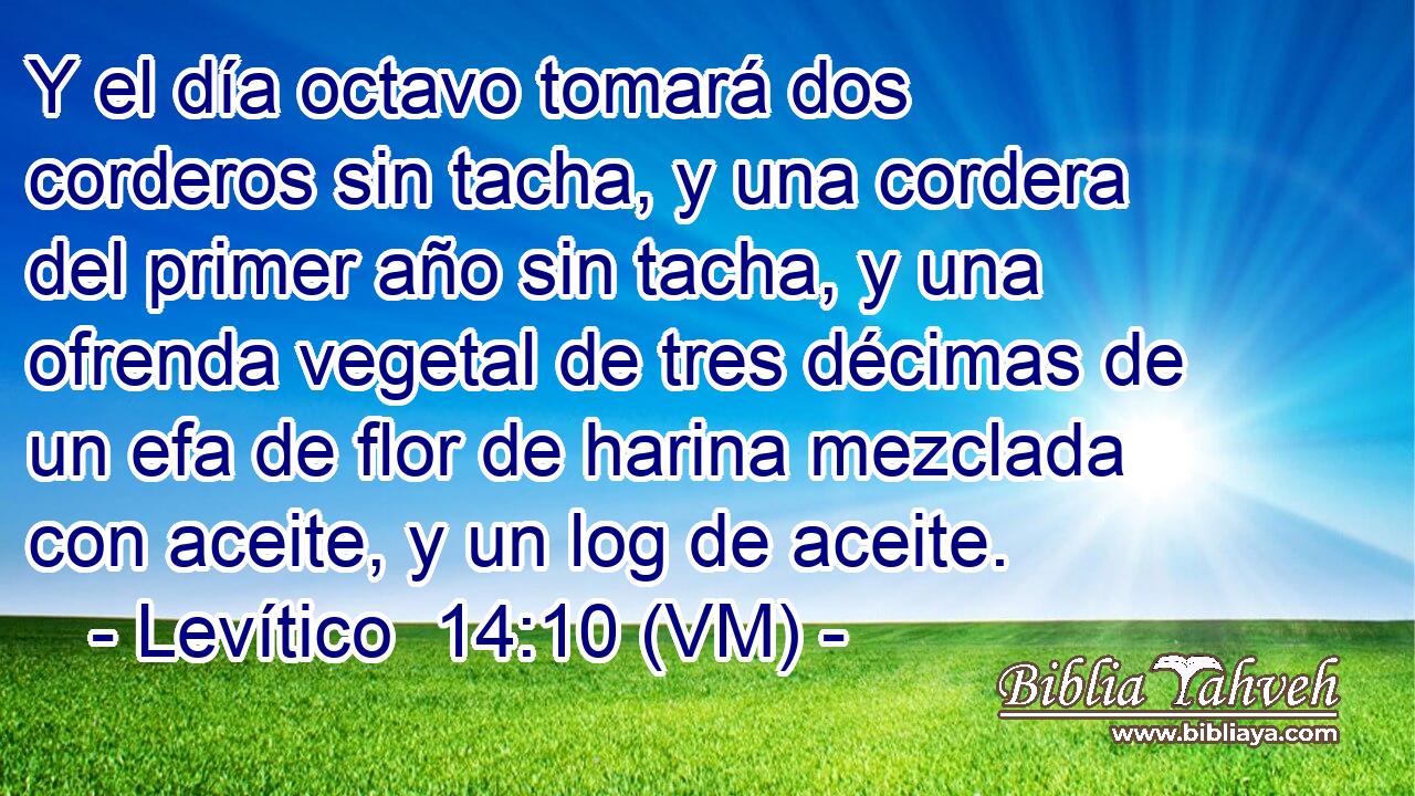  Y el día octavo tomará dos corderos sin tacha, y una cordera del primer año sin tacha, y una ofrenda vegetal de tres décimas de un efa de flor de harina mezclada con aceite, y un log de aceite. 