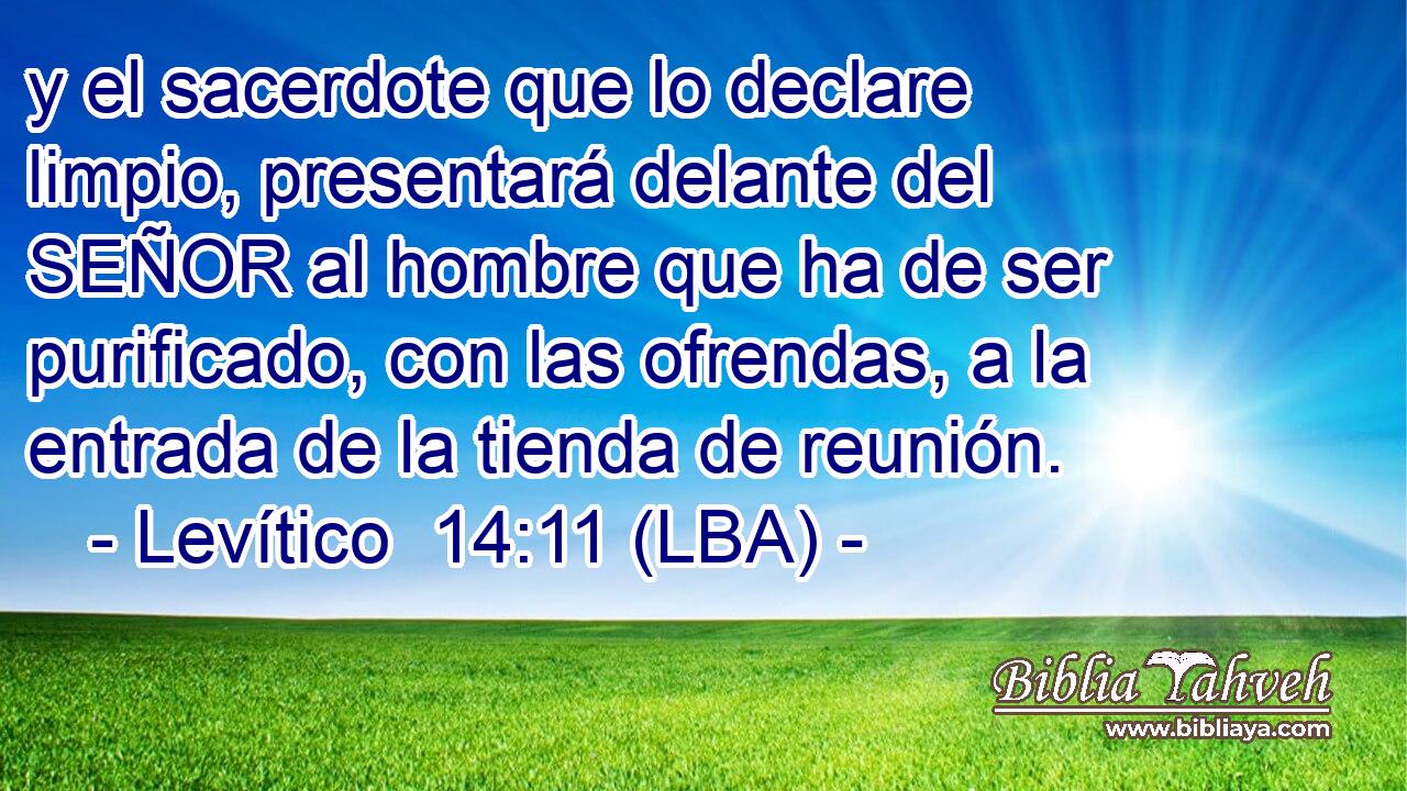 y el sacerdote que lo declare limpio, presentará delante del SEÑOR al hombre que ha de ser purificado, con las ofrendas, a la entrada de la tienda de reunión.