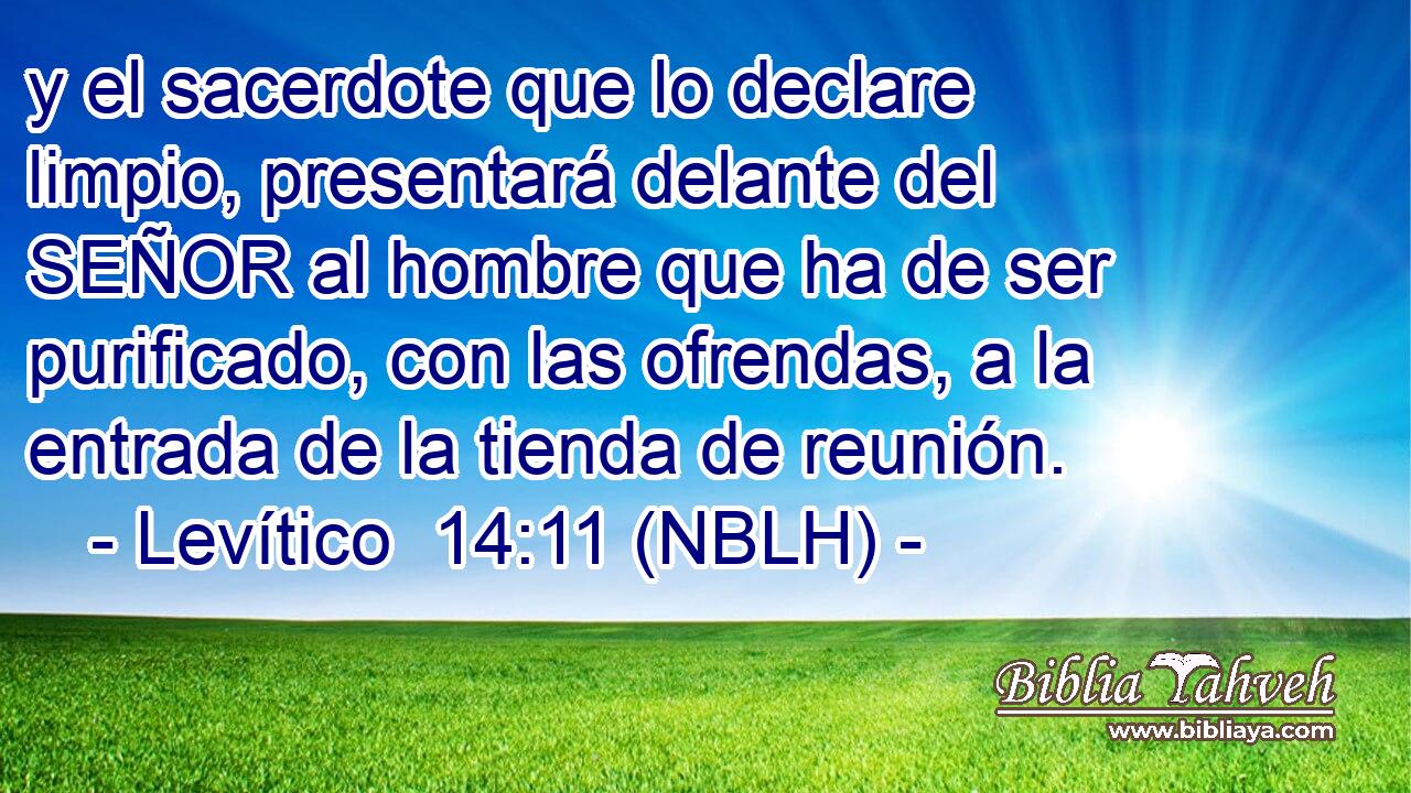  y el sacerdote que lo declare limpio, presentará delante del SEÑOR al hombre que ha de ser purificado, con las ofrendas, a la entrada de la tienda de reunión. 