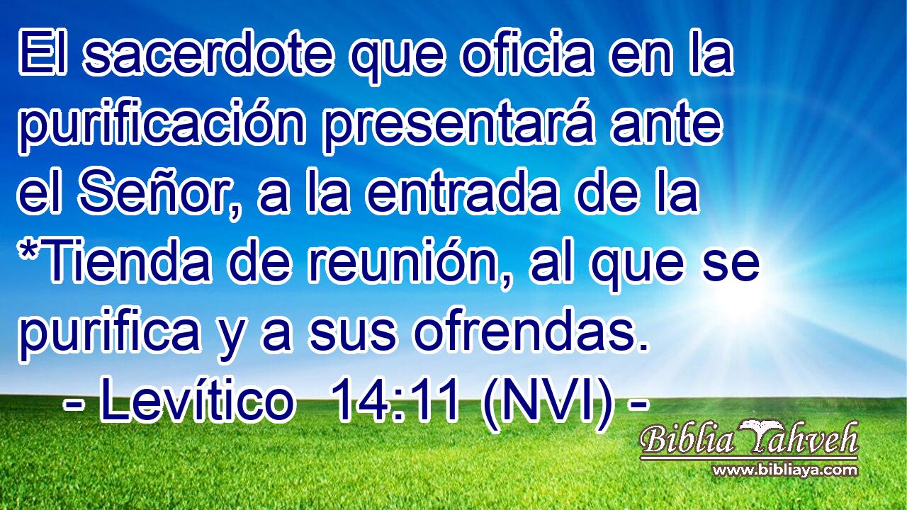  El sacerdote que oficia en la purificación presentará ante el Señor, a la entrada de la *Tienda de reunión, al que se purifica y a sus ofrendas. 