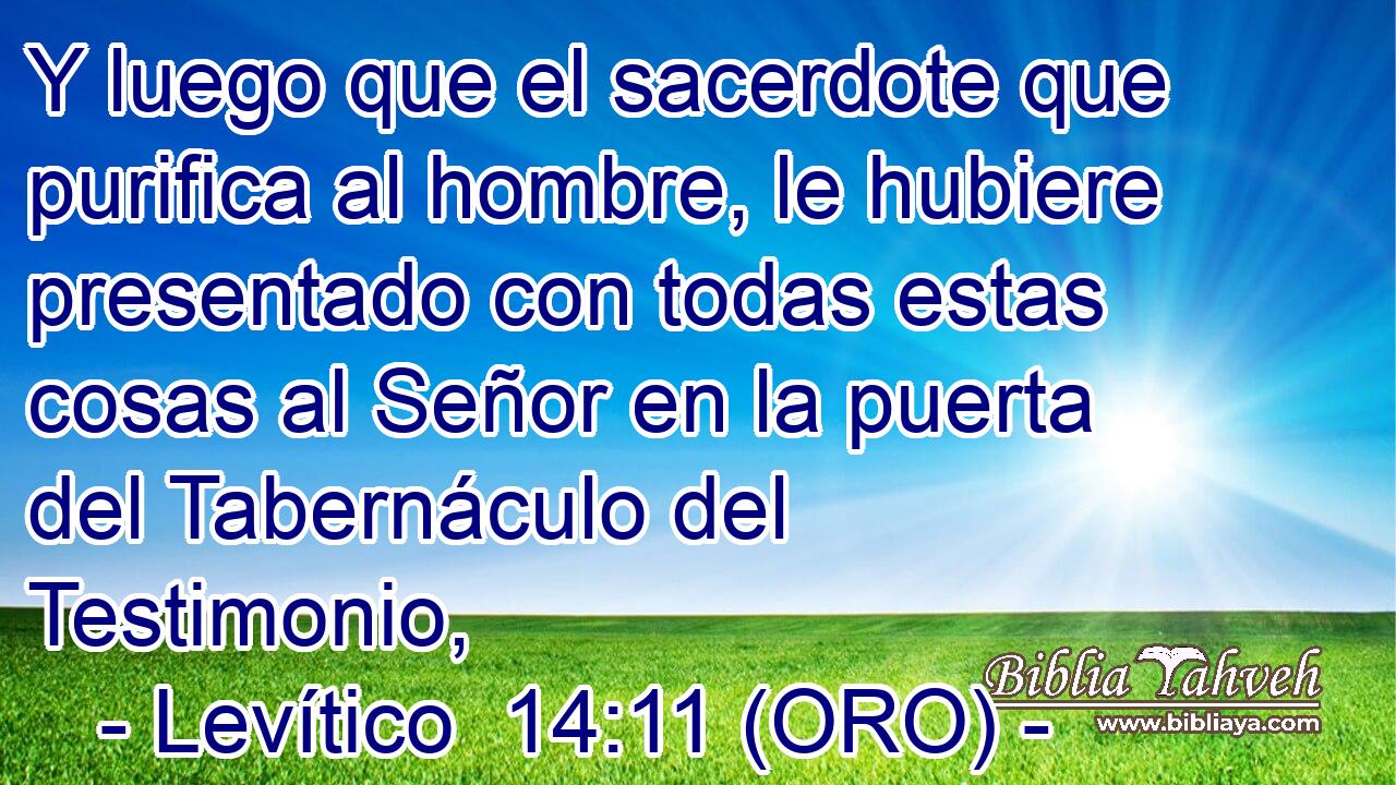  Y luego que el sacerdote que purifica al hombre, le hubiere presentado con todas estas cosas al Señor en la puerta del Tabernáculo del Testimonio, 