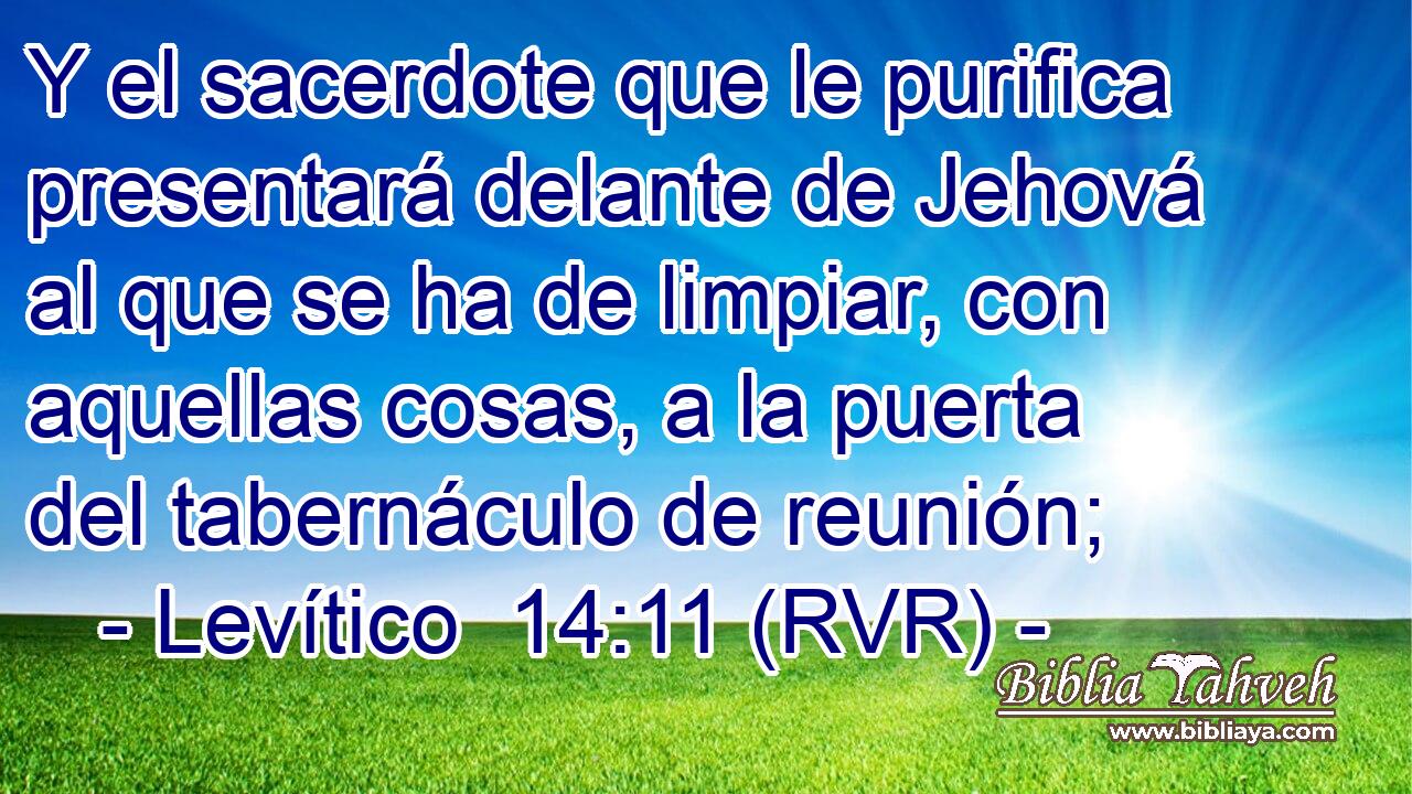 Y el sacerdote que le purifica presentará delante de Jehová al que se ha de limpiar, con aquellas cosas, a la puerta del tabernáculo de reunión;