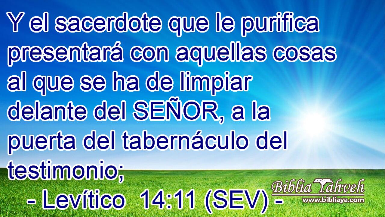 Y el sacerdote que le purifica presentará con aquellas cosas al que se ha de limpiar delante del SEÑOR, a la puerta del tabernáculo del testimonio;
