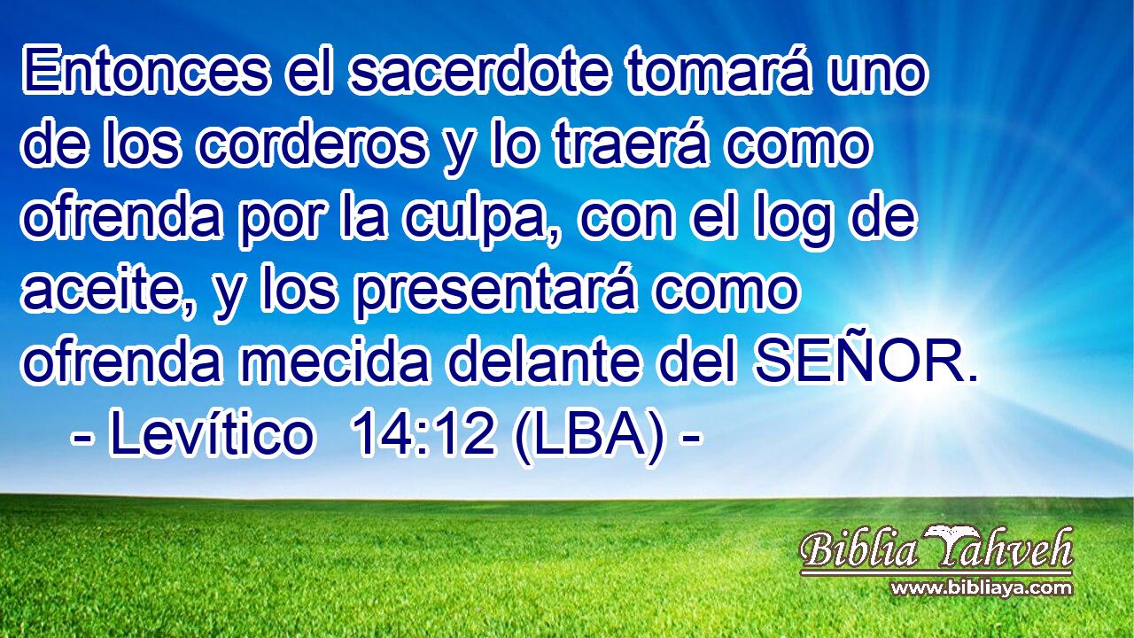 Entonces el sacerdote tomará uno de los corderos y lo traerá como ofrenda por la culpa, con el log de aceite, y los presentará como ofrenda mecida delante del SEÑOR.