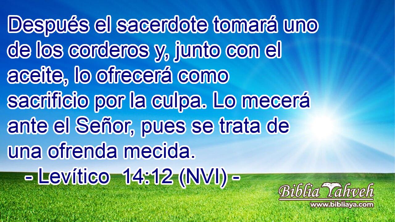  Después el sacerdote tomará uno de los corderos y, junto con el aceite, lo ofrecerá como sacrificio por la culpa. Lo mecerá ante el Señor, pues se trata de una ofrenda mecida. 