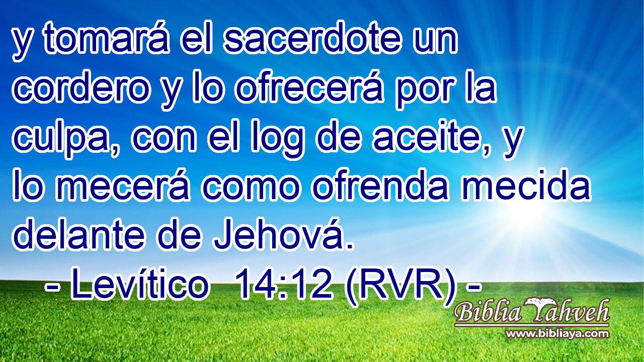 y tomará el sacerdote un cordero y lo ofrecerá por la culpa, con el log de aceite, y lo mecerá como ofrenda mecida delante de Jehová.